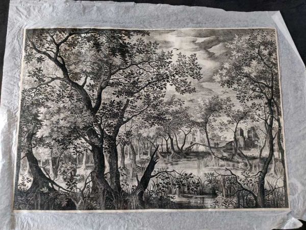 Restauration - Mise à plat et greffe